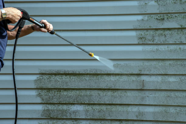 Best Soft Washing for Delicate Surfaces in Sconsin Dells, WI